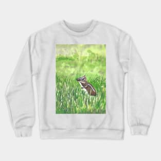 Mysterious Chipmunk Crewneck Sweatshirt